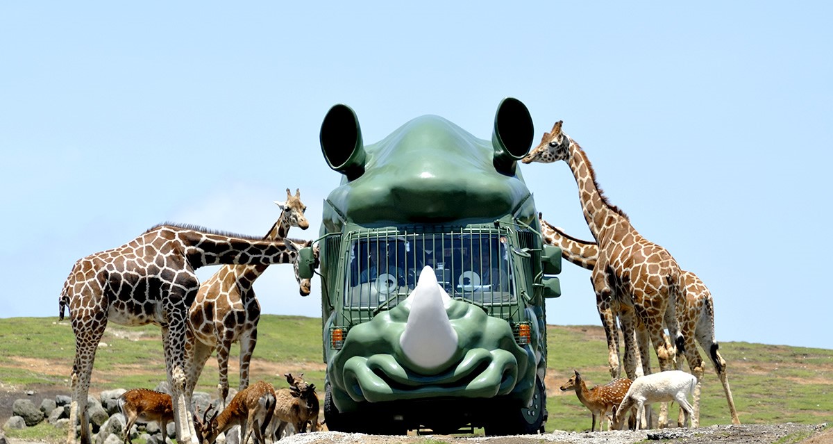 縱橫遊x Oh 爸媽親子旅遊旅行的意義